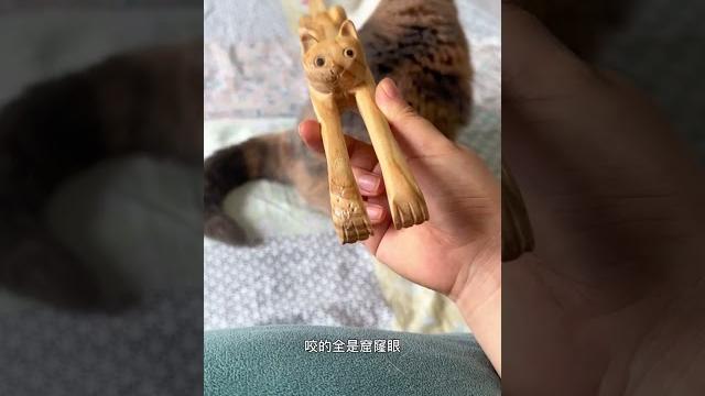 小咪挠痒痒攀爬大咪和小咪的日常 小咪挠痒痒攀爬大咪和小咪的日常