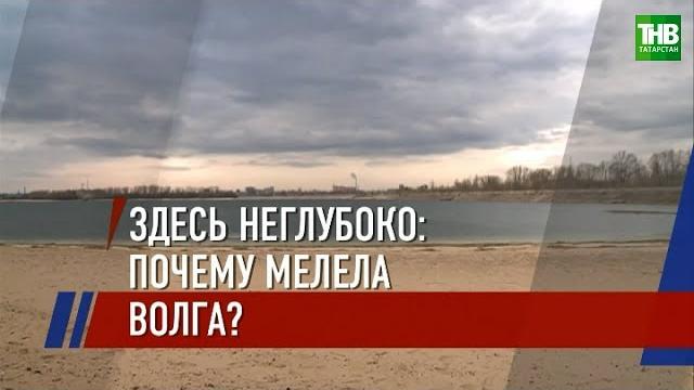 Как умирает волга: незаконная добыча песка - причина обмеления реки в татарстане летом 2019г. Как умирает волга: незаконная добыча песка - причина обмеления реки в татарстане летом 2019г.