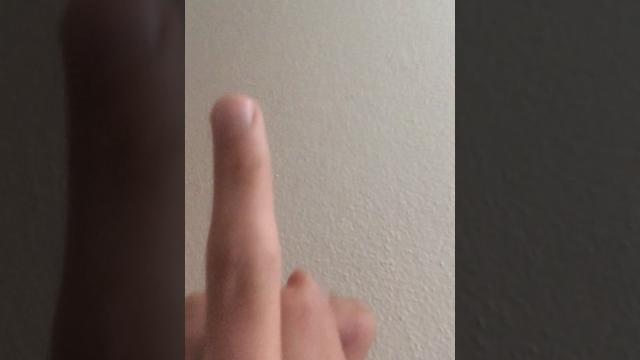 Yarak Yarak