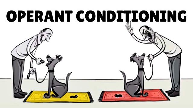 Skinner’s operant conditioning: rewards & punishments Skinner’s operant conditioning: rewards & punishments