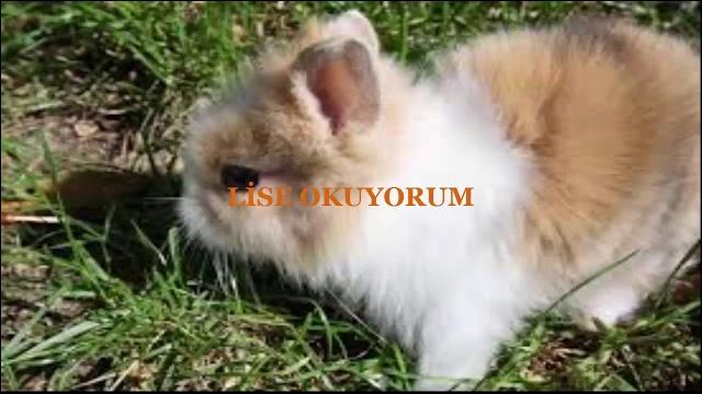 Gi̇zem suyu taniyalim Gi̇zem suyu taniyalim