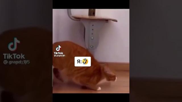 Когда 31 декабря рабочий день подошёл к концу Когда 31 декабря рабочий день подошёл к концу