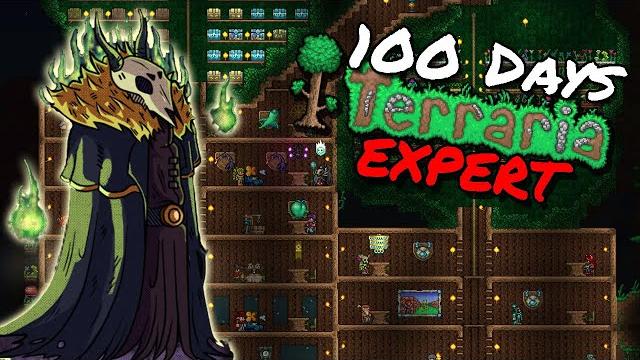 I spent 100 days in terraria expert mode and here's what happened I spent 100 days in terraria expert mode and here's what happened