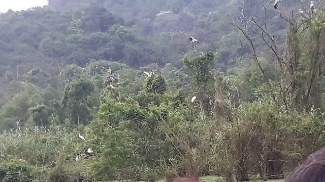 北越鳥洞 北越鳥洞