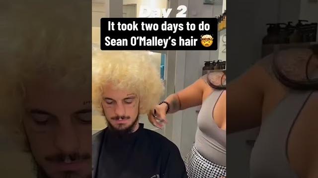 Sean o'malley's hair (via hairy.by.danya/ig) Sean o'malley's hair (via hairy.by.danya/ig)