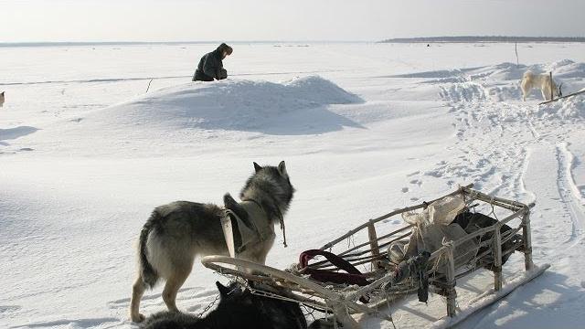 Счастливые люди | енисей | зима (серия 4) | дмитрий васюков Счастливые люди | енисей | зима (серия 4) | дмитрий васюков