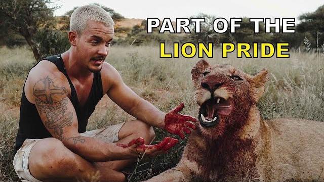 Part of the lion pride - dean schneider living with lions Part of the lion pride - dean schneider living with lions