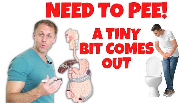 Why do i have to pee so often but hardly any comes out? Why do i have to pee so often but hardly any comes out?