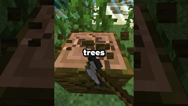 How rich can you get in the box smp? How rich can you get in the box smp?