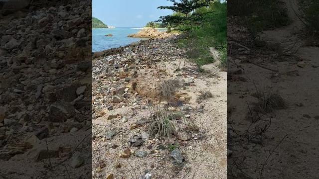Это нудистский пляж #kophangan #travel #beach #thailand #phangan #панган #пляж #sea #таиланд Это нудистский пляж #kophangan #travel #beach #thailand #phangan #панган #пляж #sea #таиланд
