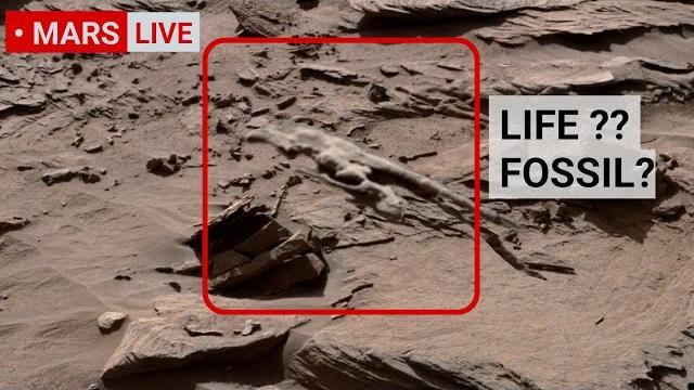 Nasa mars rover sent shocking 360° footage of mars life? perseverance & curiosity' rover mars in 4k Nasa mars rover sent shocking 360° footage of mars life? perseverance & curiosity' rover mars in 4k