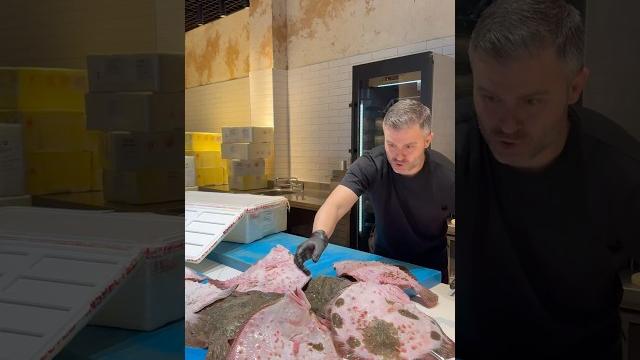 Black sea turbot Black sea turbot