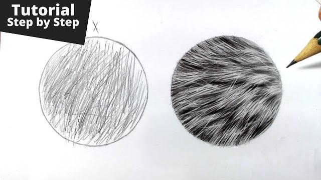 How to draw realistic fur for beginners How to draw realistic fur for beginners