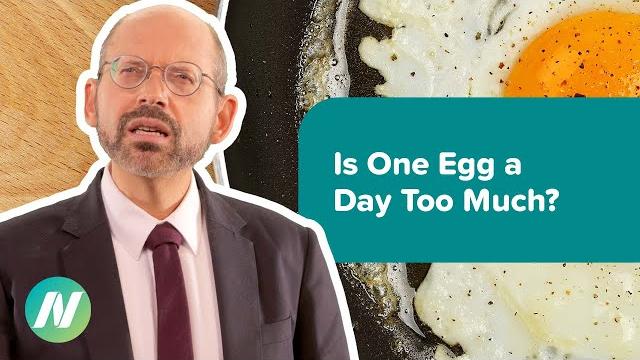 Is one egg a day too much? Is one egg a day too much?