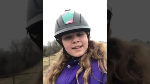 How about a pony? How about a pony?