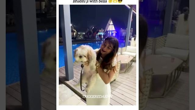 Bhabhi ji with bella 🫶@ruchikarathoreofficial@triggeredinsaan#trending#petlover#ytshorts Bhabhi ji with bella 🫶@ruchikarathoreofficial@triggeredinsaan#trending#petlover#ytshorts