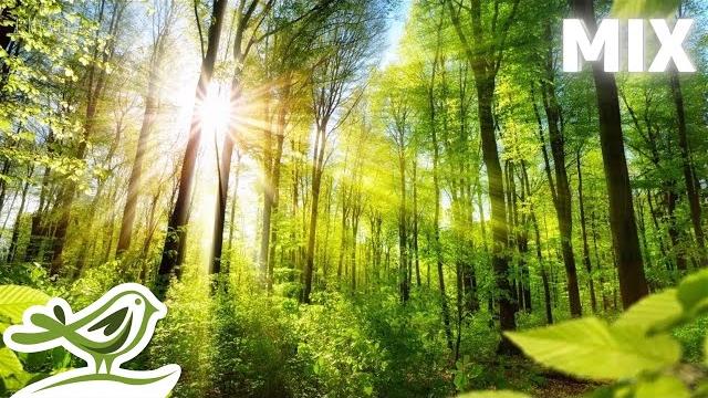Peder b. helland - sunny mornings (full album) Peder b. helland - sunny mornings (full album)