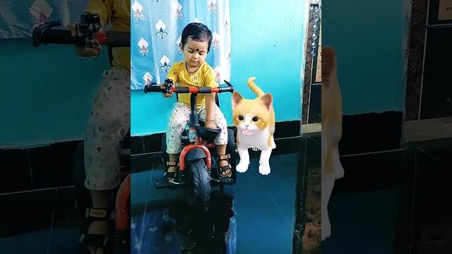 Little aanvi with pussy cat playing #trending #trendingshorts #trendingvideo #trendingreels Little aanvi with pussy cat playing #trending #trendingshorts #trendingvideo #trendingreels