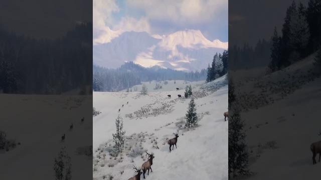 All 19 species & release date revealed for the new askiy ridge albert map! call of the wild #shorts All 19 species & release date revealed for the new askiy ridge albert map! call of the wild #shorts
