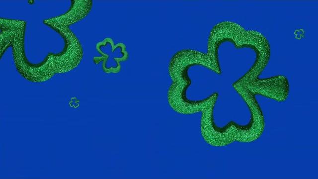 Falling four leaf clover with glitter on blue screen | free hd green screen (no copyright) Falling four leaf clover with glitter on blue screen | free hd green screen (no copyright)