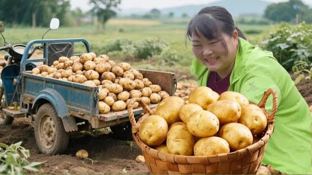 【陕北霞姐】霞姐做陕北特色小吃“洋芋擦擦”,5种小料拌一拌,吃上一碗太香了! 【陕北霞姐】霞姐做陕北特色小吃“洋芋擦擦”,5种小料拌一拌,吃上一碗太香了!
