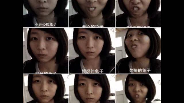 Chinese bunny Chinese bunny