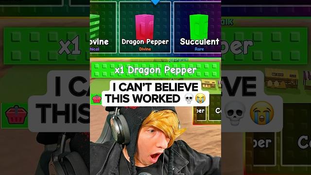Kreekcraft gets rainbow dragon pepper in grow a garden Kreekcraft gets rainbow dragon pepper in grow a garden