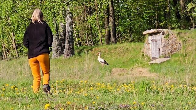 Жизнь среди дикой природы на окраине деревни возле леса, без удобств! многим нас не понять... Жизнь среди дикой природы на окраине деревни возле леса, без удобств! многим нас не понять...