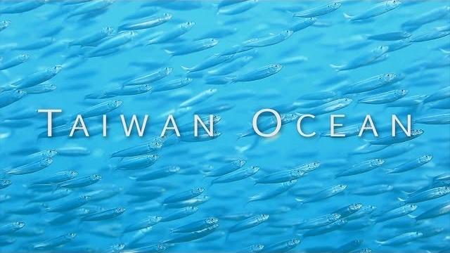 2013 台灣之海潛水紀錄片-1 東北角首部曲 taiwan ocean dive documentary - northeast coast episode i 1080p 2013 台灣之海潛水紀錄片-1 東北角首部曲 taiwan ocean dive documentary - northeast coast episode i 1080p