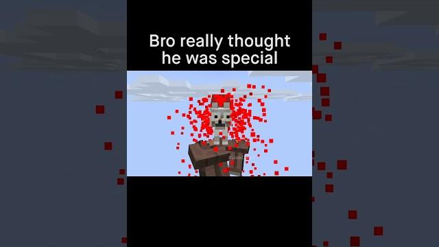Minecraft meme Minecraft meme