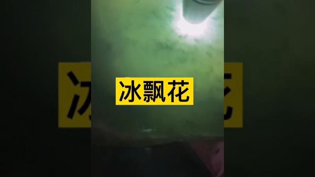 大賺順了,一塊32公斤的冰飄花手鐲料,切大漲了 大賺順了,一塊32公斤的冰飄花手鐲料,切大漲了