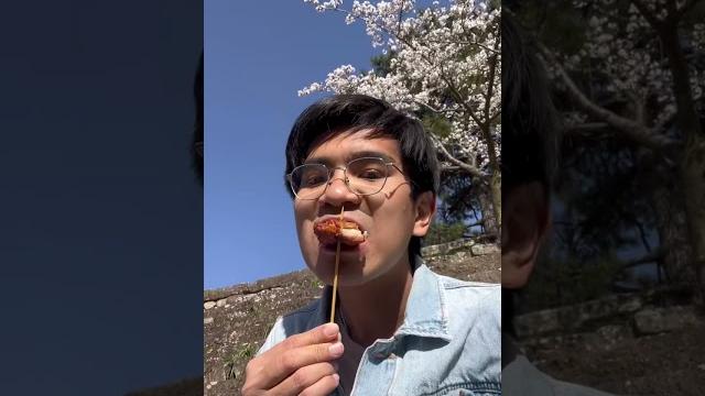 Apa itu hanami? musim semi jepang Apa itu hanami? musim semi jepang