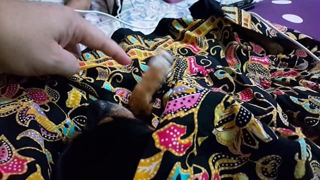 家中毛小孩kk睡成這樣……怎麼也吵不醒 家中毛小孩kk睡成這樣……怎麼也吵不醒