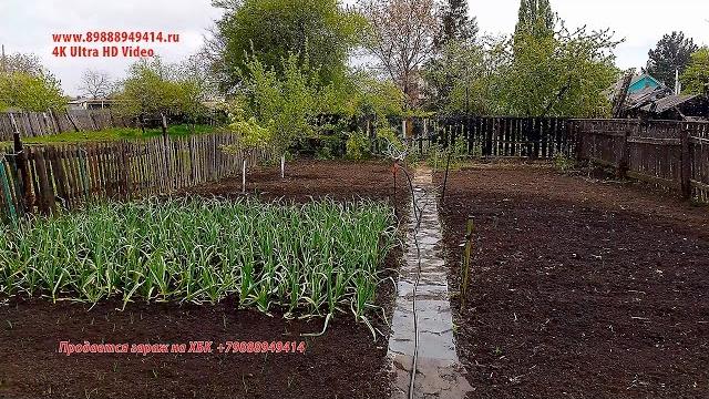 Mine is watering the garden Mine is watering the garden