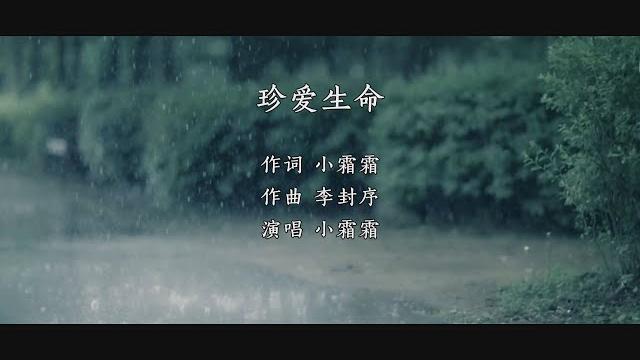 珍爱生命(客户 小霜霜作品) 珍爱生命(客户 小霜霜作品)