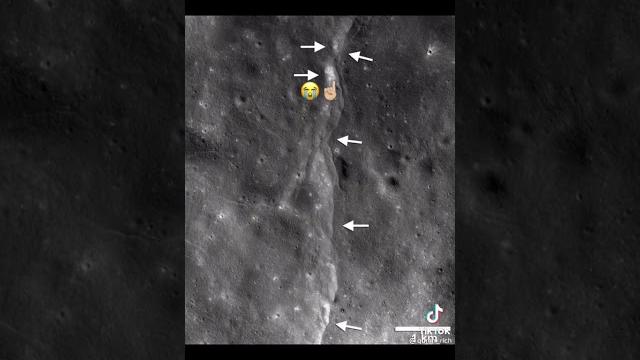 8 ноября 2021 г. 8 ноября 2021 г.