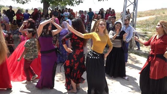 Safranbolu gümüş kürt mahalesi̇ eğlenceli̇ düğün weddi̇ng dance Safranbolu gümüş kürt mahalesi̇ eğlenceli̇ düğün weddi̇ng dance