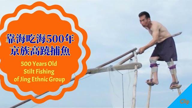Stilt fishing|china|travel guangxi| seafood meal|fangchenggang|京族500年曆史的高蹺捕魚技藝|廣西旅遊|中國|海鮮|防城港 Stilt fishing|china|travel guangxi| seafood meal|fangchenggang|京族500年曆史的高蹺捕魚技藝|廣西旅遊|中國|海鮮|防城港