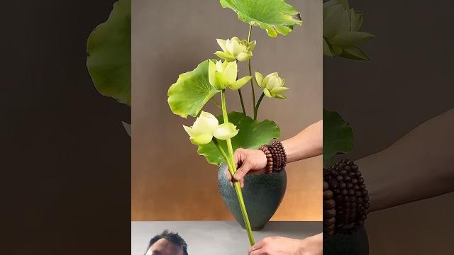 #music #flowers #梦露缀化 #diygardening #florist #蝴蝶 #gardeningideas #diy #gardeningtips #bonsai #music #flowers #梦露缀化 #diygardening #florist #蝴蝶 #gardeningideas #diy #gardeningtips #bonsai
