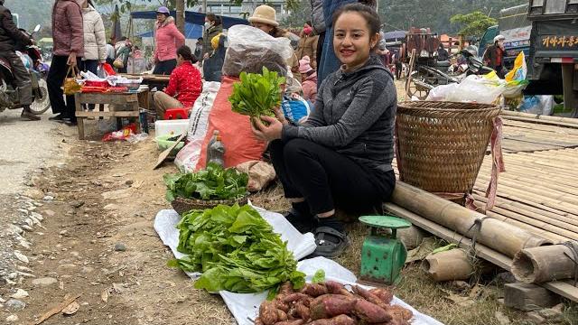 Harvest sweet potatoes, bok choy, and melon to go to the market to sell. cassava wine ferment. Harvest sweet potatoes, bok choy, and melon to go to the market to sell. cassava wine ferment.