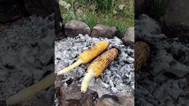 بلال آتشی بلال آتشی