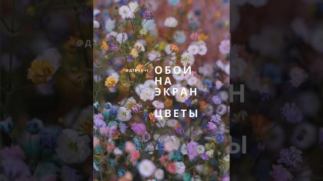 Цветочные обои на iphone | цветы на заставку #цветы #экран #заставка #flowers #wallpaper #wallpapers Цветочные обои на iphone | цветы на заставку #цветы #экран #заставка #flowers #wallpaper #wallpapers