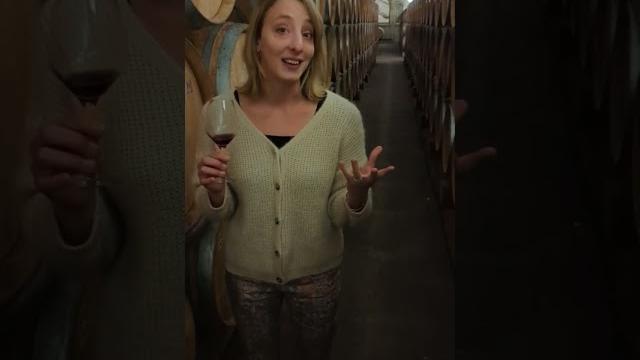 Vignerons de buxy cellar Vignerons de buxy cellar