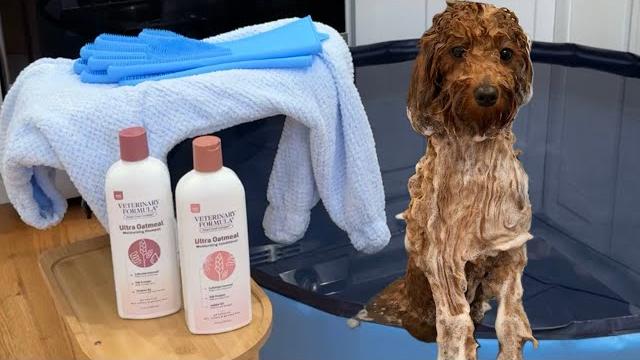It’s bath time! It’s bath time!
