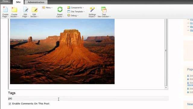 Bitrix .net forge cms features Bitrix .net forge cms features