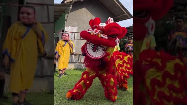 Barongsai terbaru Barongsai terbaru