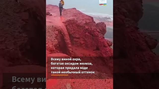 В иране потекли кровавые реки #shorts В иране потекли кровавые реки #shorts
