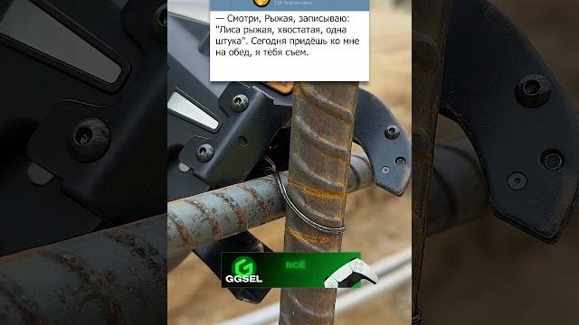 Хитрый заяц #юмор #прикол #анекдот Хитрый заяц #юмор #прикол #анекдот
