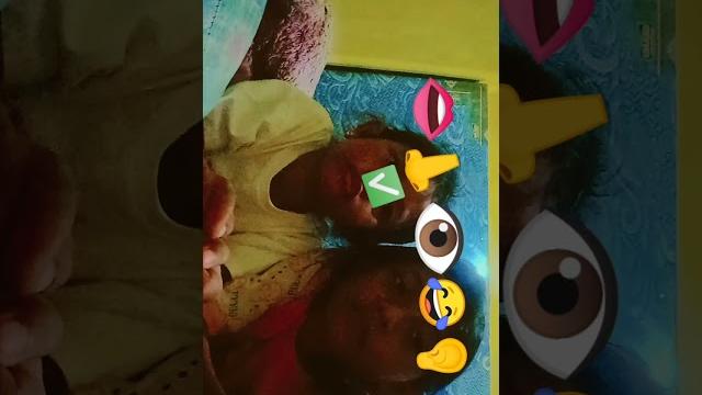 @ribka & varisha @ribka & varisha
