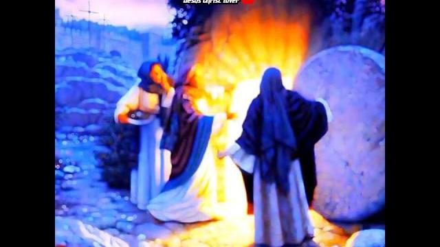 Easter whatsapp status | happy easter status | easter status | new jesus status #shorts #viral Easter whatsapp status | happy easter status | easter status | new jesus status #shorts #viral